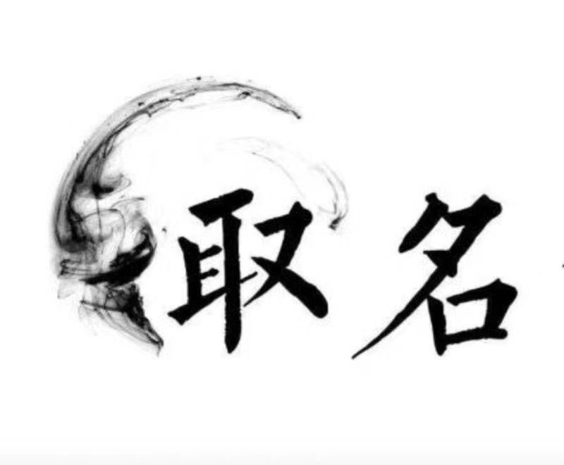  贡井宝宝取名 大师一对一人工起名