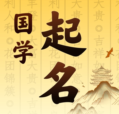 贡井国学起名 人工起名一对一